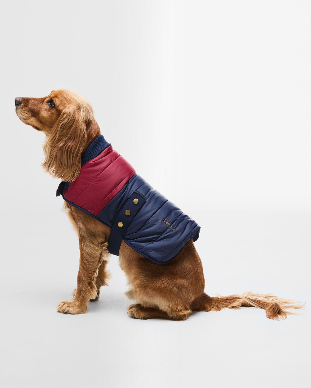Barbour Brampton Quilted Dog Coat Παλτο Σκυλου Κόκκινο