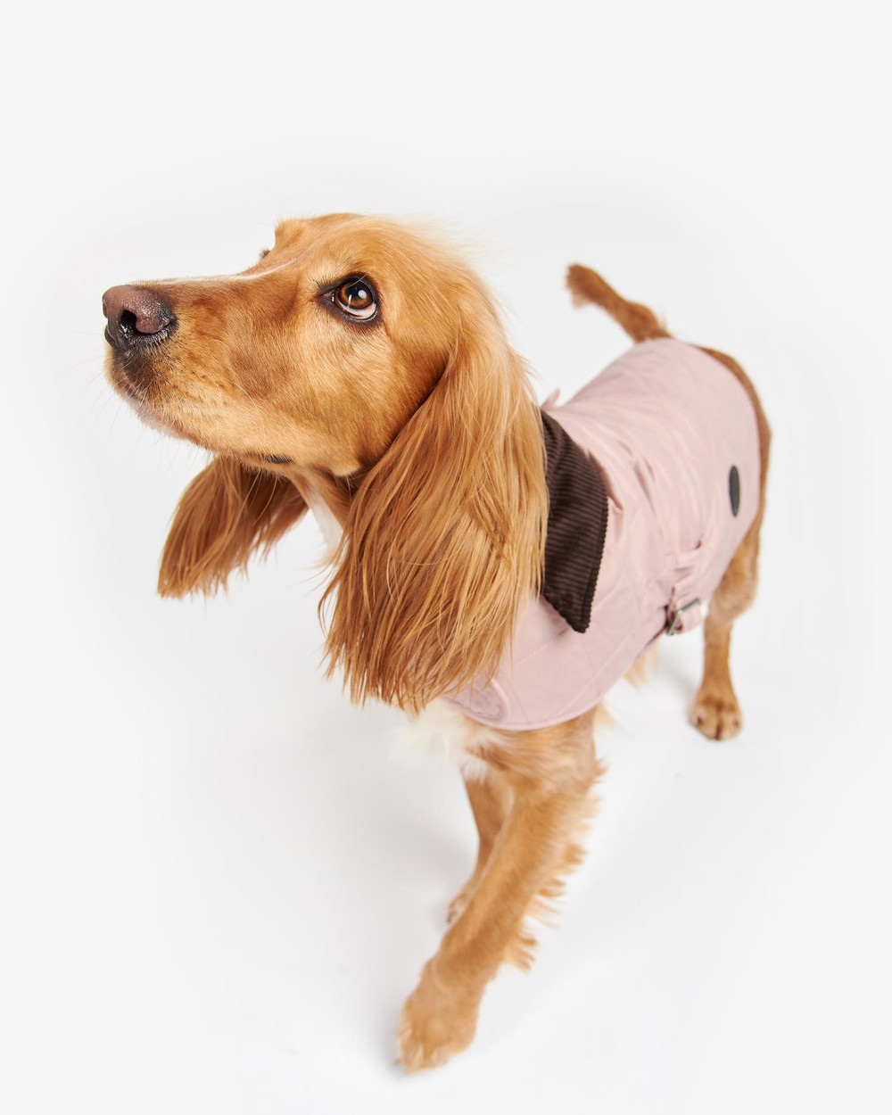 Barbour Quilted Dog Coat Παλτο Σκυλου Ροζ