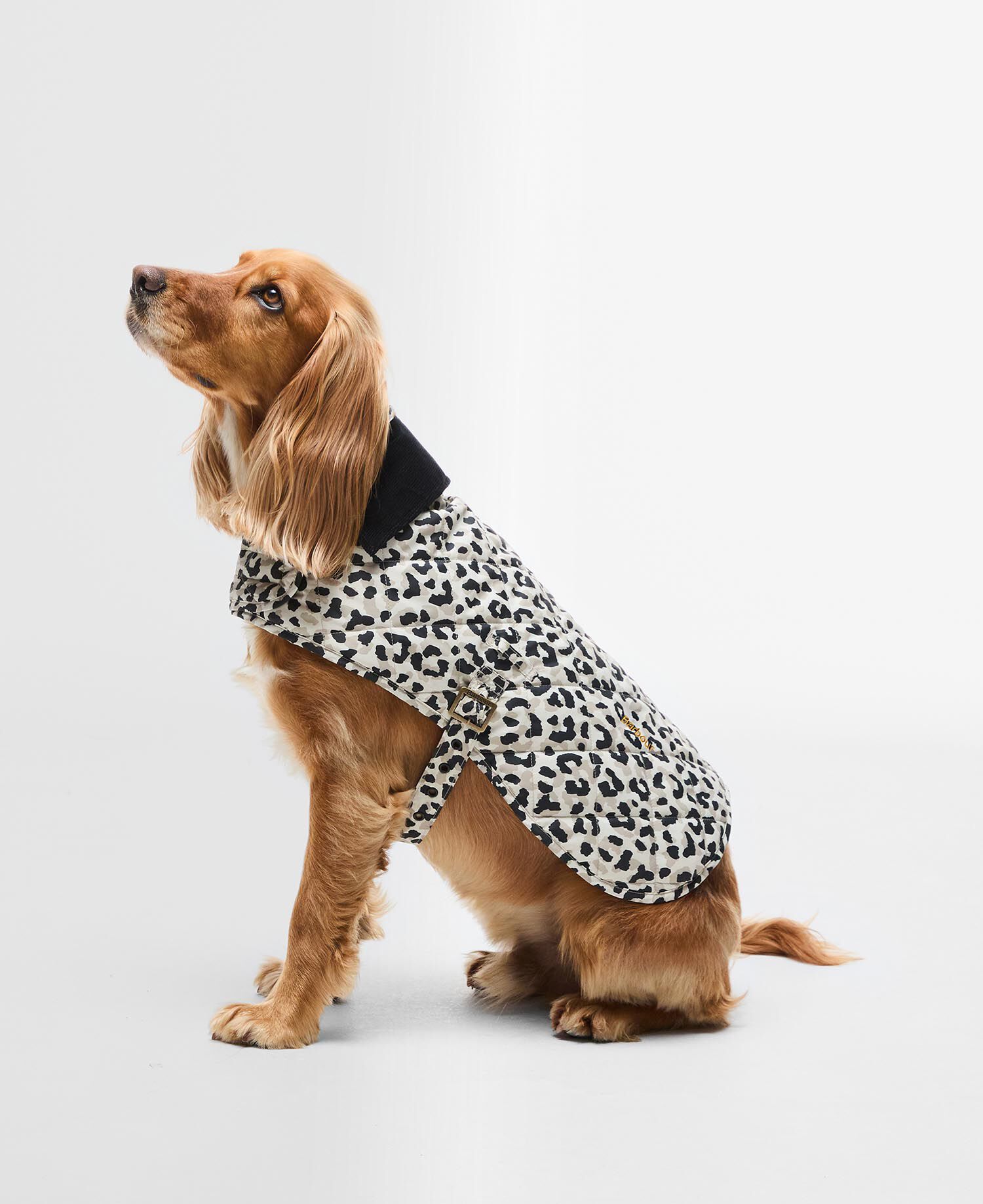 Barbour Harley Quilted Dog Coat Παλτο Σκυλου Λευκό