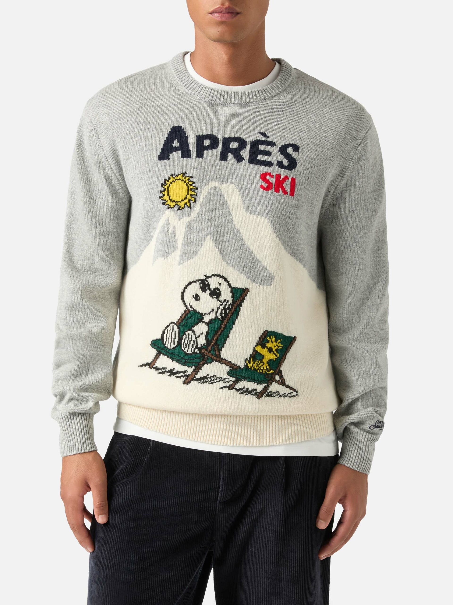HERON-ROUND-NECK SWEATER-PEANUTS DREAM 51 EMB